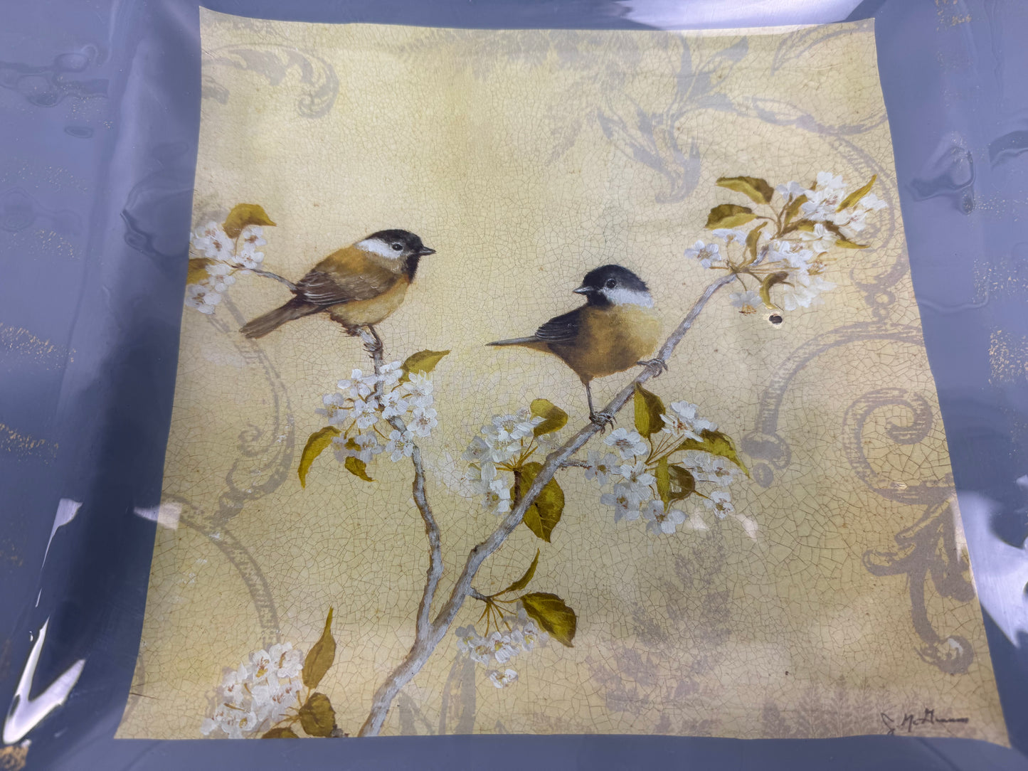 Bird In Motion Plates by Jill Schultz McGannon