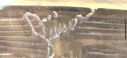 Waterford Cut Crystal Footed Trumpet/Flared Vase