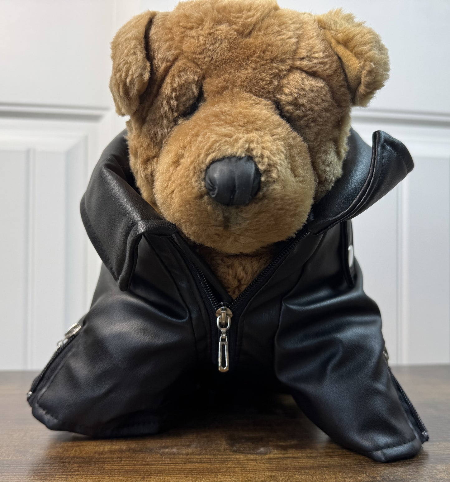 Dog Faux Leather Biker Jacket