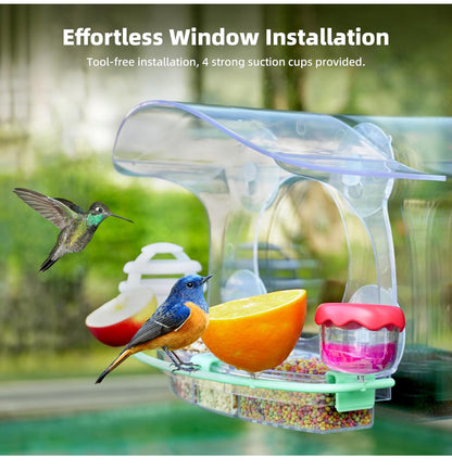 Window Bird Feeders with Strong Suction Cups, 6-in-1 Large Transparent Birdhouse Feeder for Outdoors, Attract Birds, Bird Watching for Cats and Kids, Easy-to-Clean, Ideal Present for Family