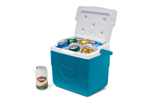 Chiller™ 9-Quart Portable Cooler