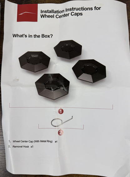 Tesla Cyber Truck Wheel Center Cap and License Plate Holder Set